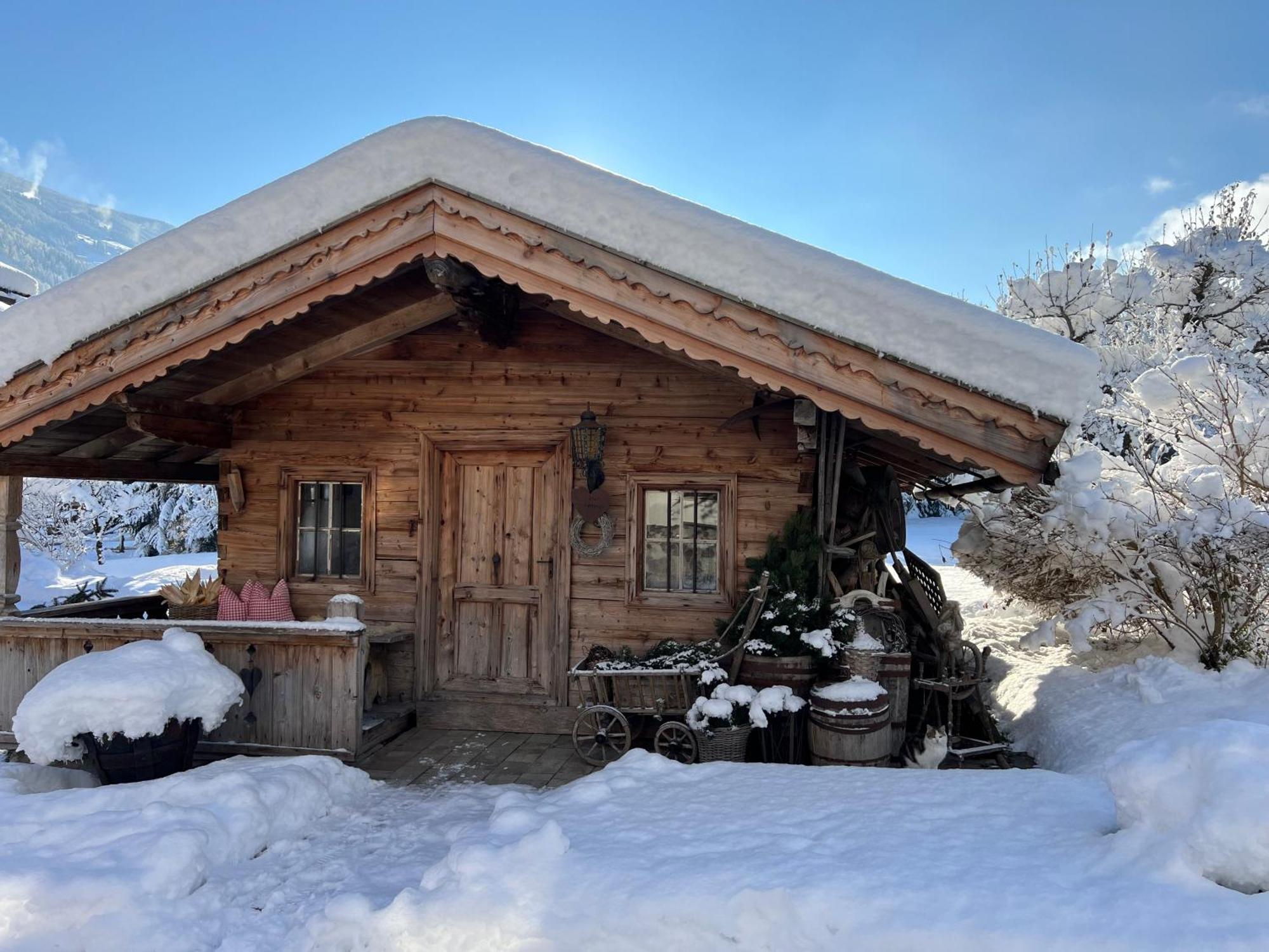 Martlerhof Daire Aschau Im Zillertal Dış mekan fotoğraf