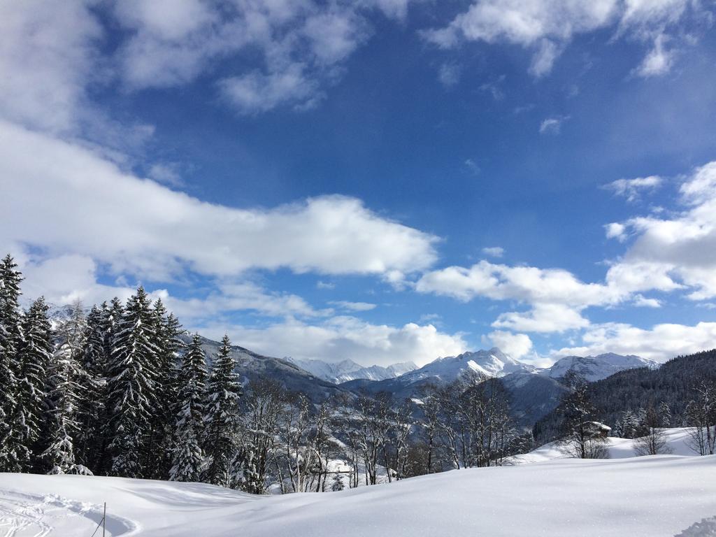 Martlerhof Daire Aschau Im Zillertal Dış mekan fotoğraf