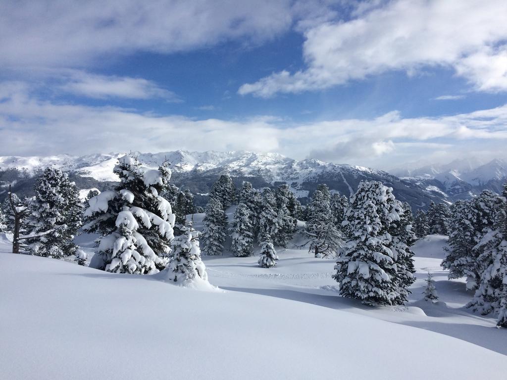 Martlerhof Daire Aschau Im Zillertal Dış mekan fotoğraf