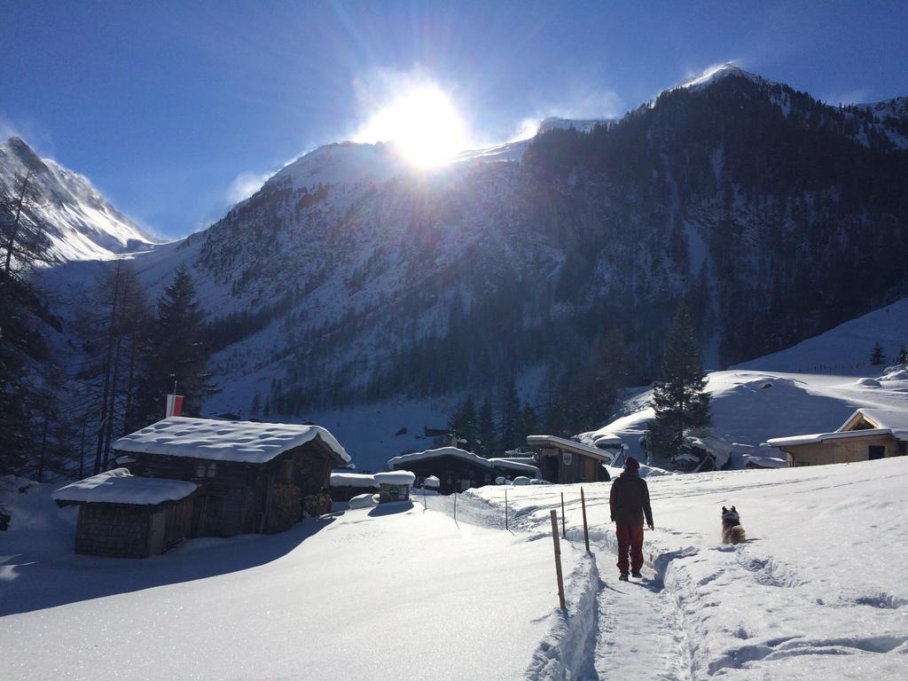 Martlerhof Daire Aschau Im Zillertal Dış mekan fotoğraf