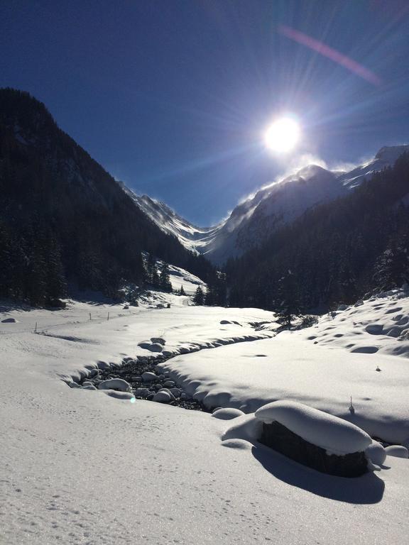 Martlerhof Daire Aschau Im Zillertal Dış mekan fotoğraf