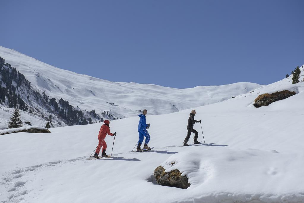 Martlerhof Daire Aschau Im Zillertal Dış mekan fotoğraf