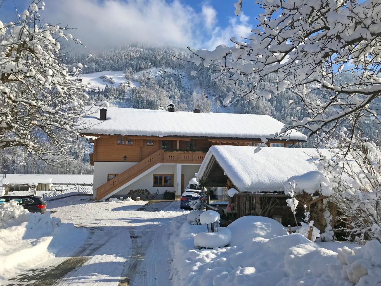 Martlerhof Daire Aschau Im Zillertal Dış mekan fotoğraf